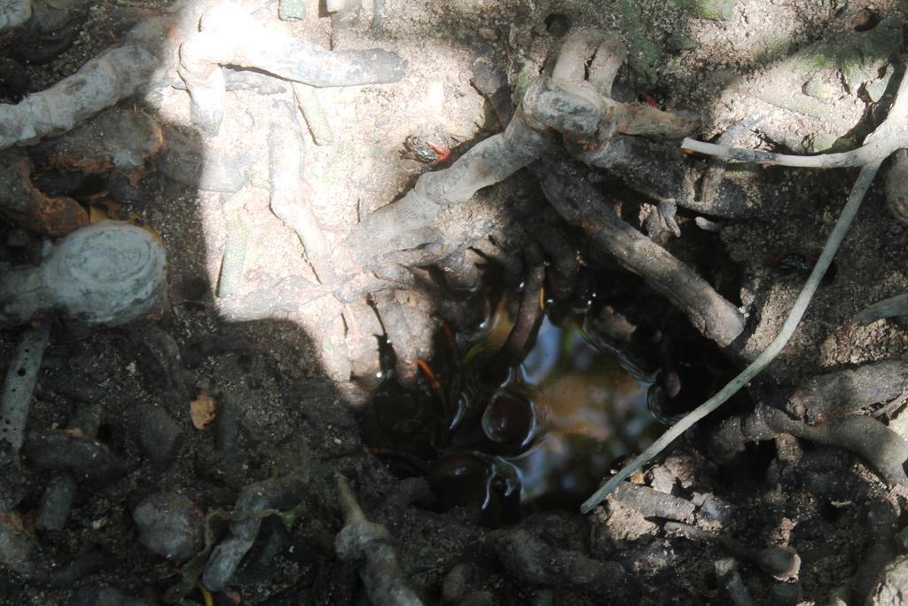 Huraa East Inn מראה חיצוני תמונה