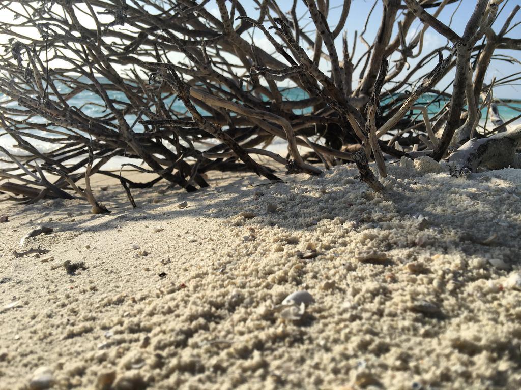 Huraa East Inn מראה חיצוני תמונה